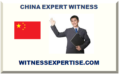 CHINA EXPERT WITNESS 2024