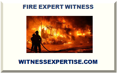 FIRE EXPERT WITNESS 2025