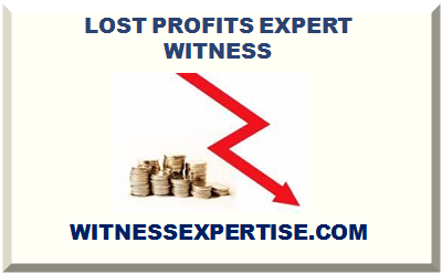 LOST PROFITS EXPERT WITNESS