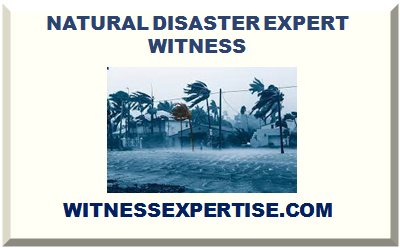 NATURAL DISASTER EXPERT WITNESS