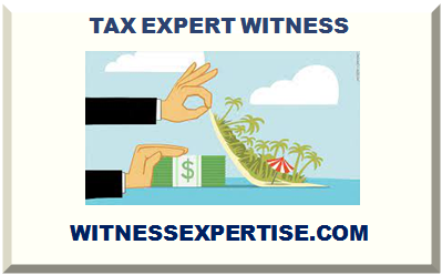 TAX EXPERT WITNESS 2025